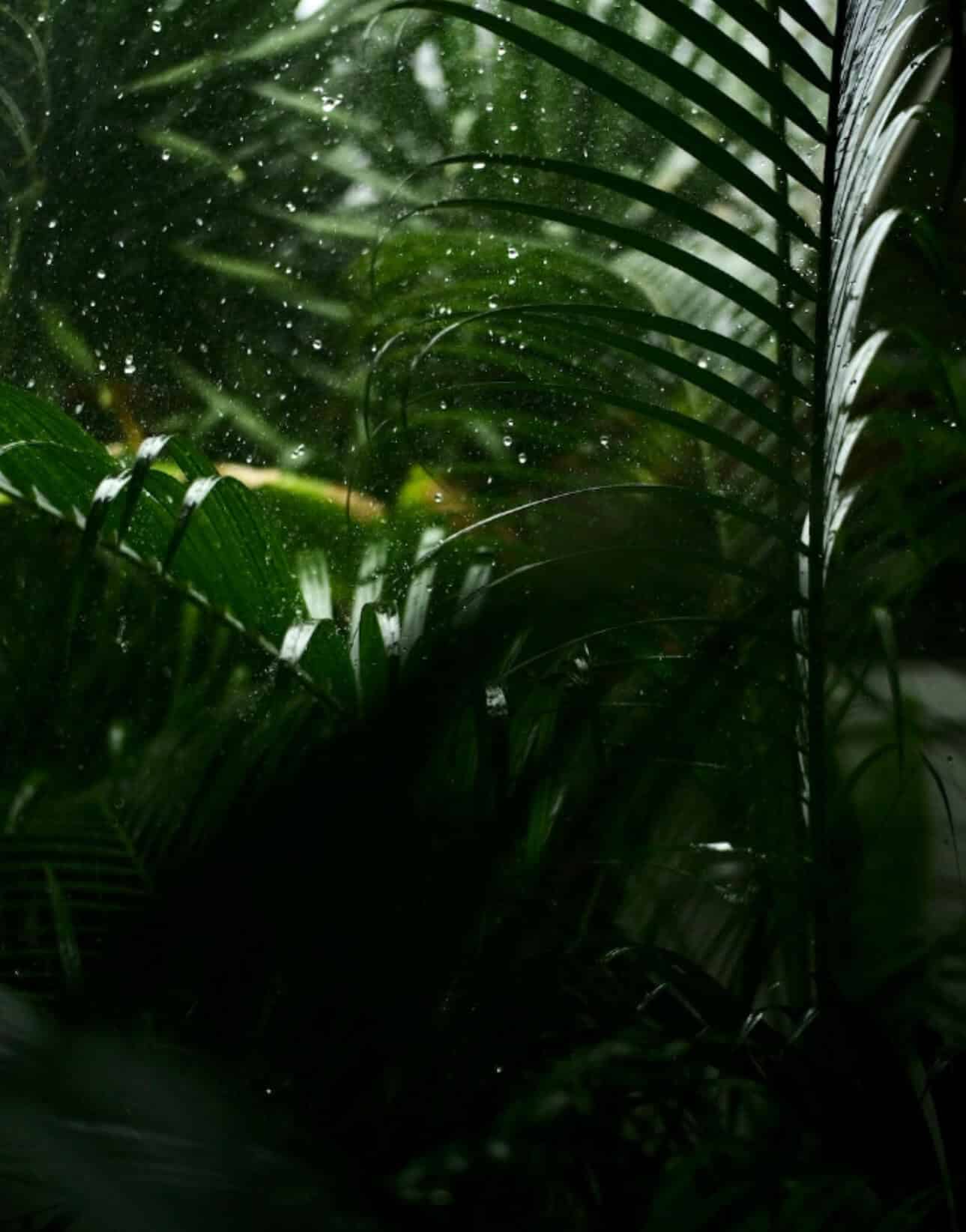 full-screen-menu-img