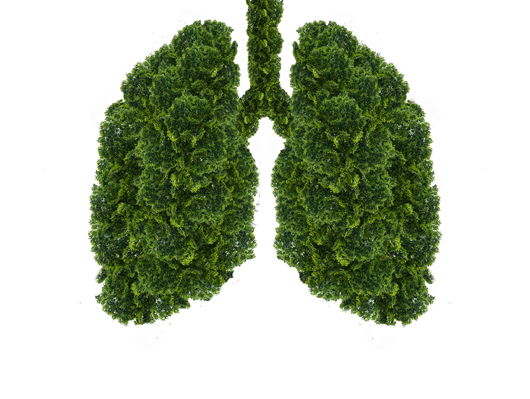 global-breath-img